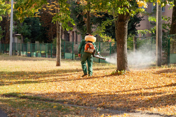 Best Mosquito Control Services  in Llender, CA