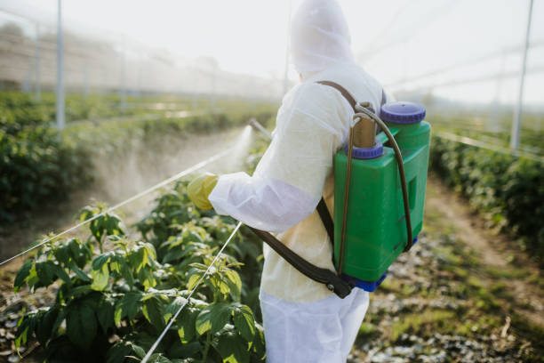 Best Affordable Pest Control Services  in Llender, CA